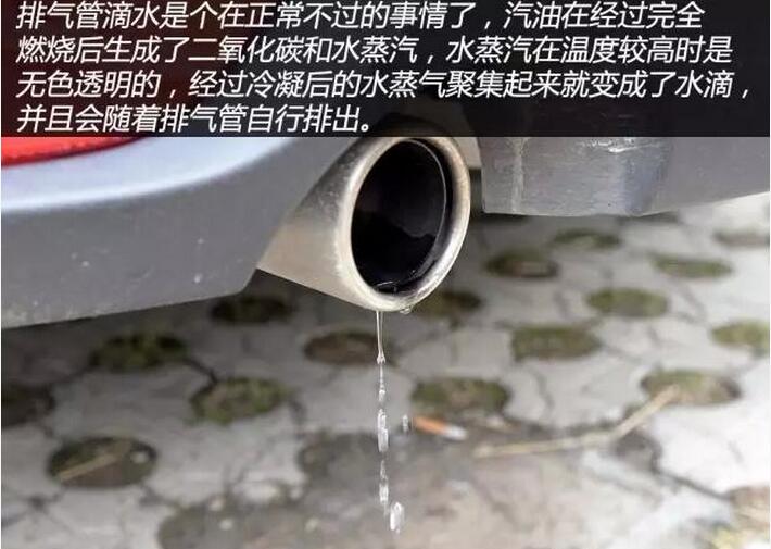 排气管