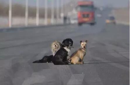 经常跑高速，这几个保命的招，速速收下