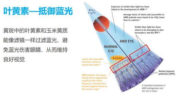 熬夜党的福音：原来失去的睡眠是可以通过这些方法补回来的